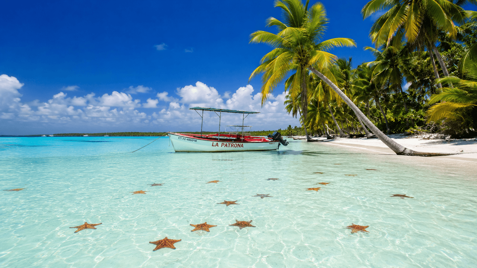 Saona Island turquoise waters and white sand beach