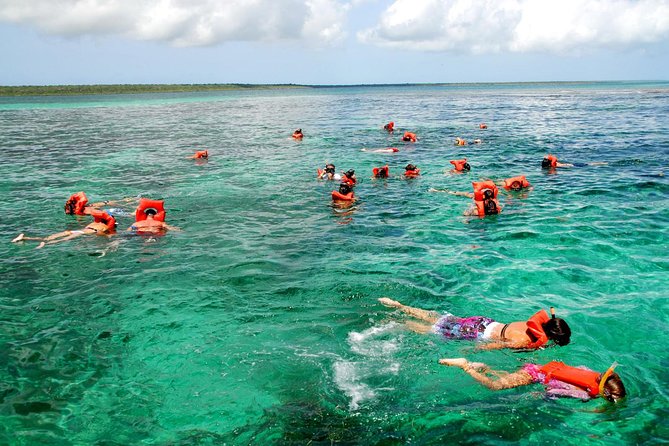 Snorkeling in vibrant coral reefs
