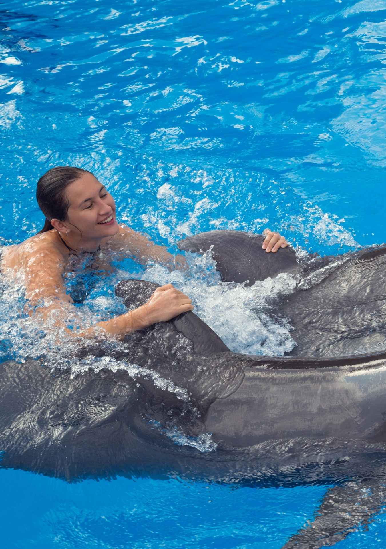 Guests swimming with dolphins in Punta Cana