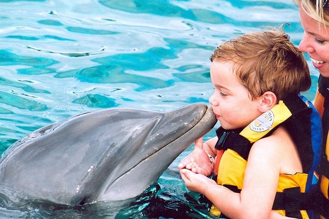 Exclusive dolphin experience