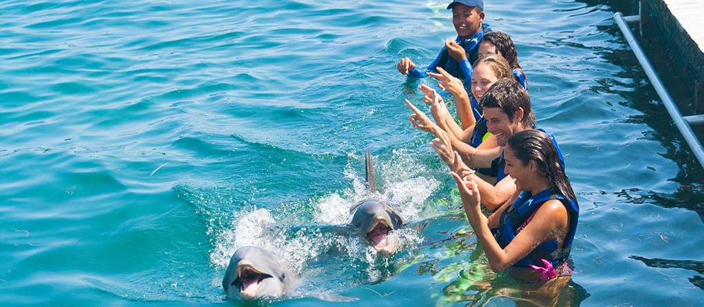 Family enjoying Funtastic Dolphin Experience