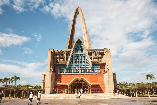 Cocoa bean plantation