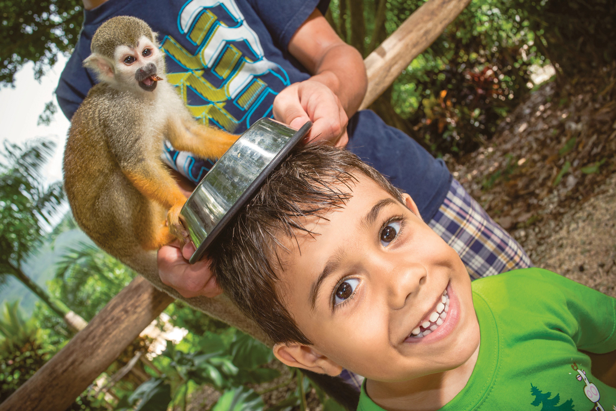 Squirrel monkeys at Monkey Land Punta Cana