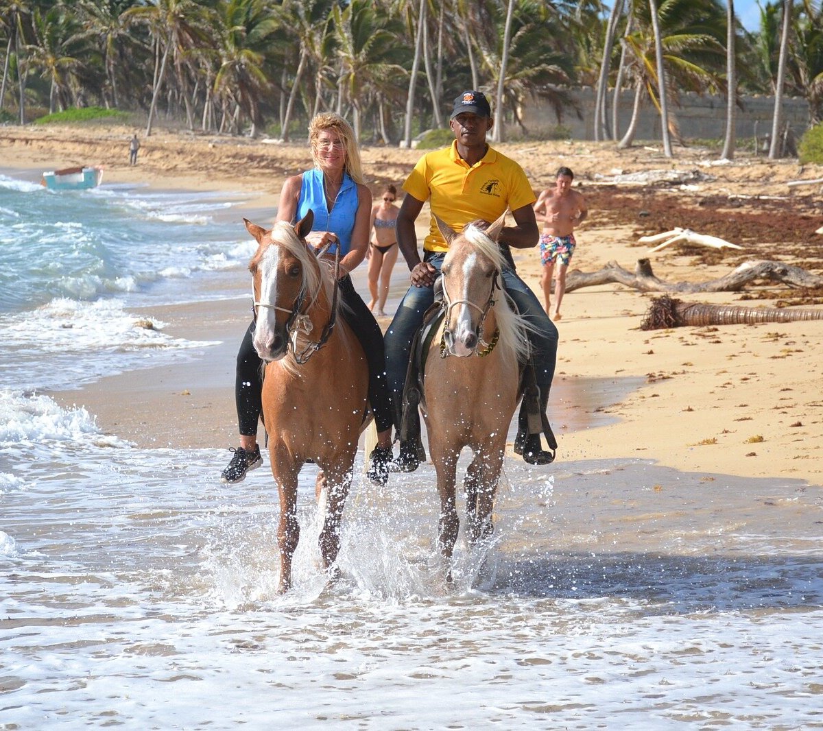 Horseback riding on beautiful Punta Cana beach