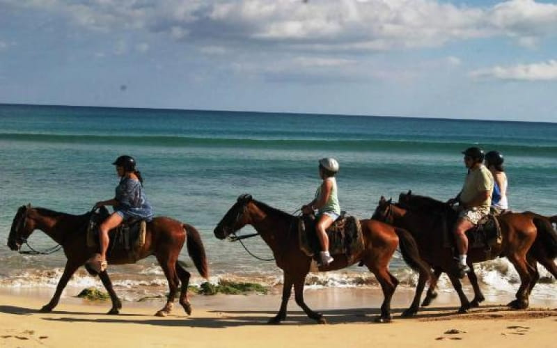 Scenic beach horseback ride