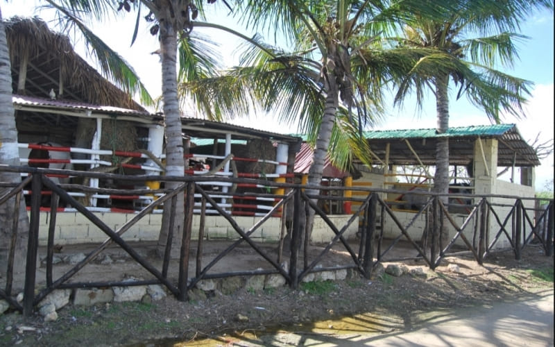 Horseback adventure in paradise